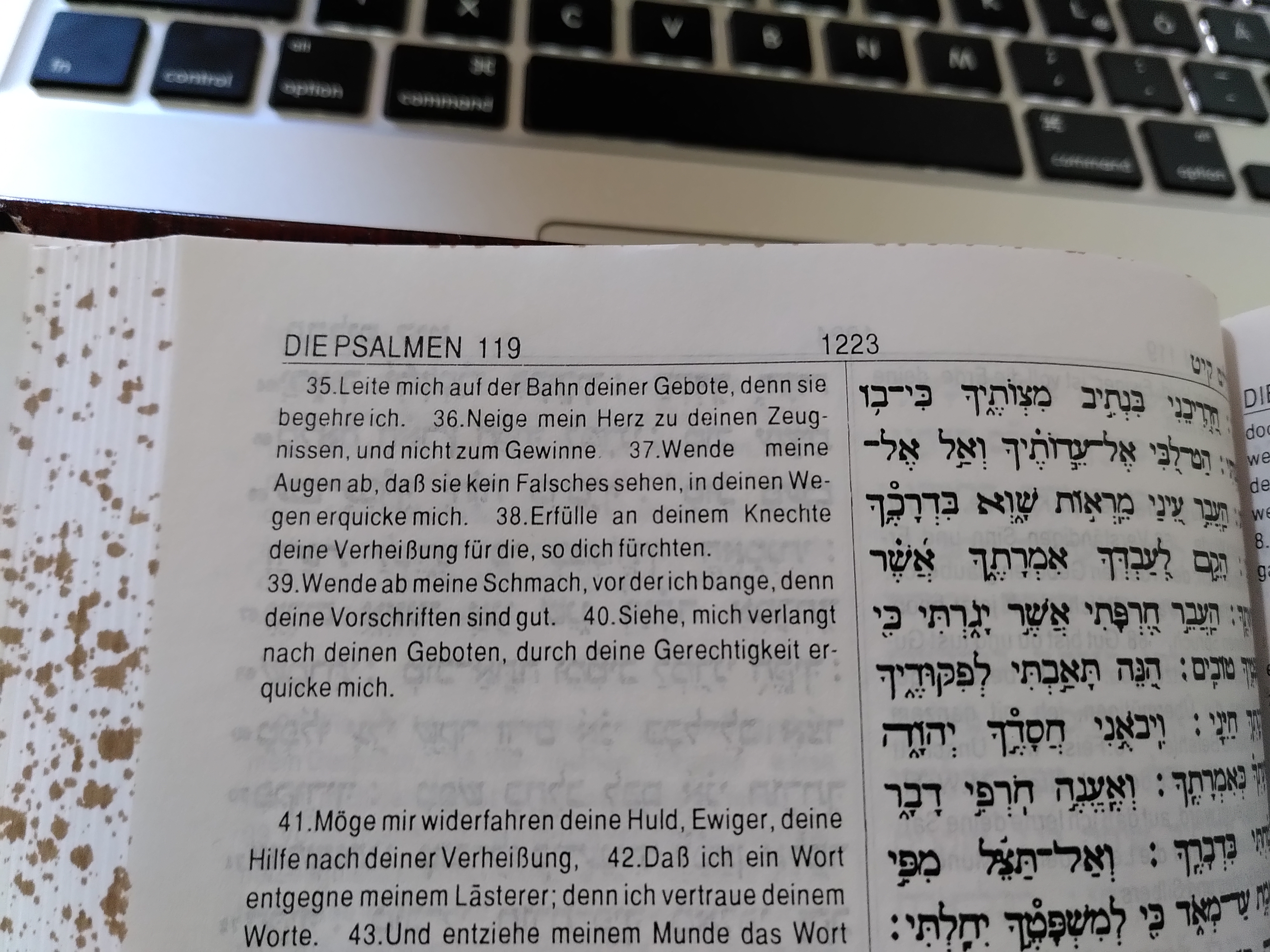 He im Psalm 119