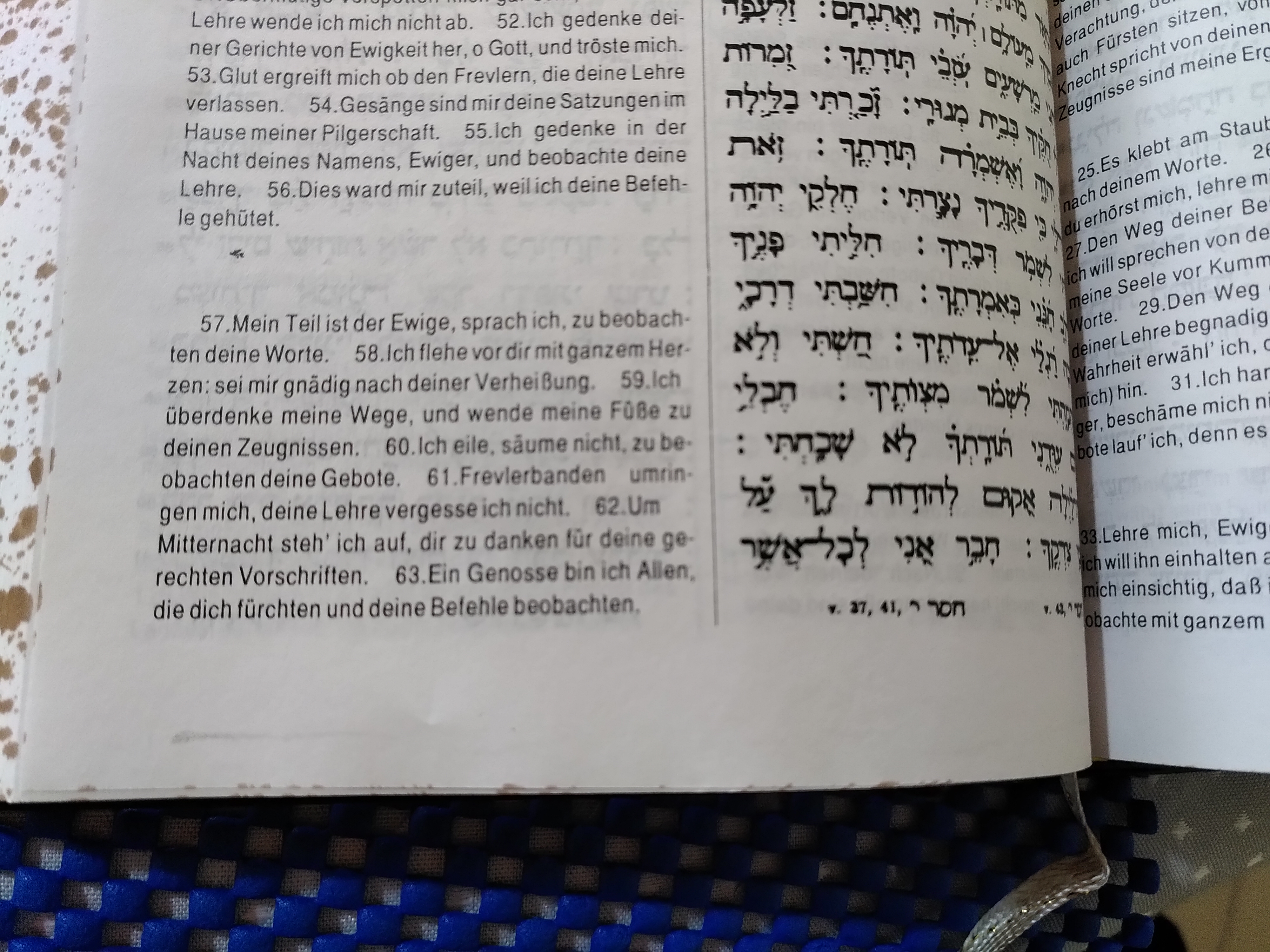 Het im Psalm 119