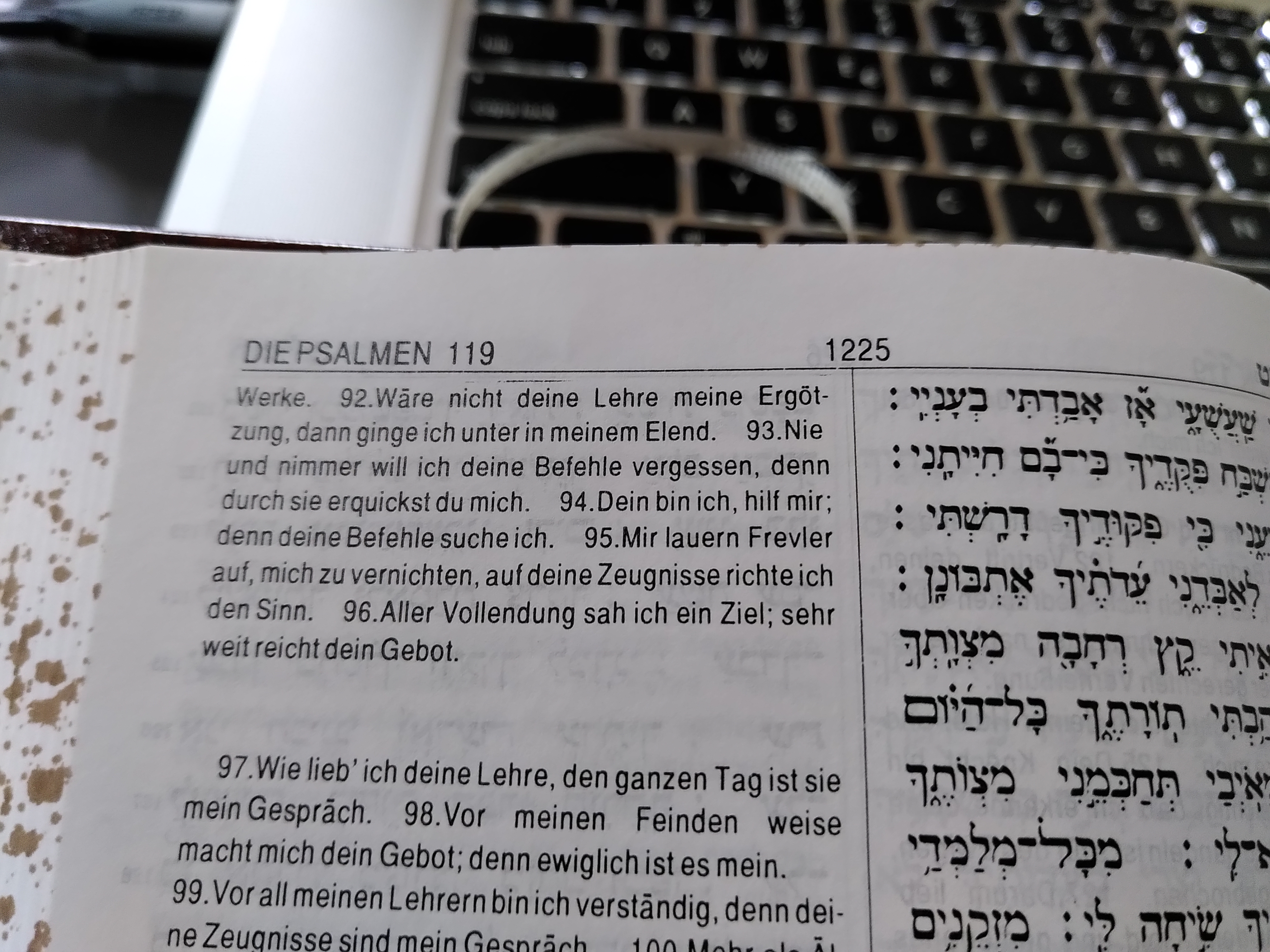 Lamed im Psalm 119