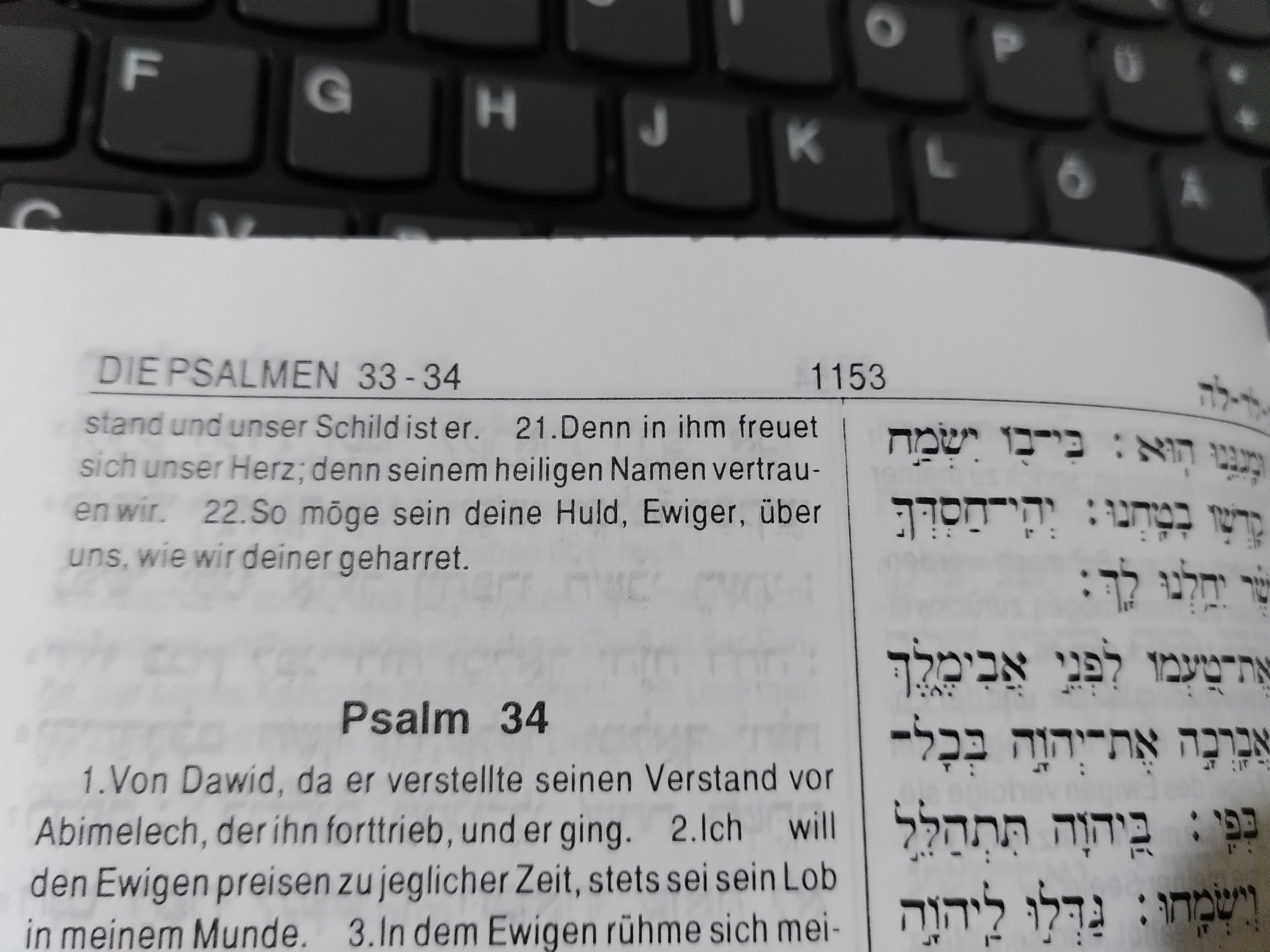 Psalm 33,22