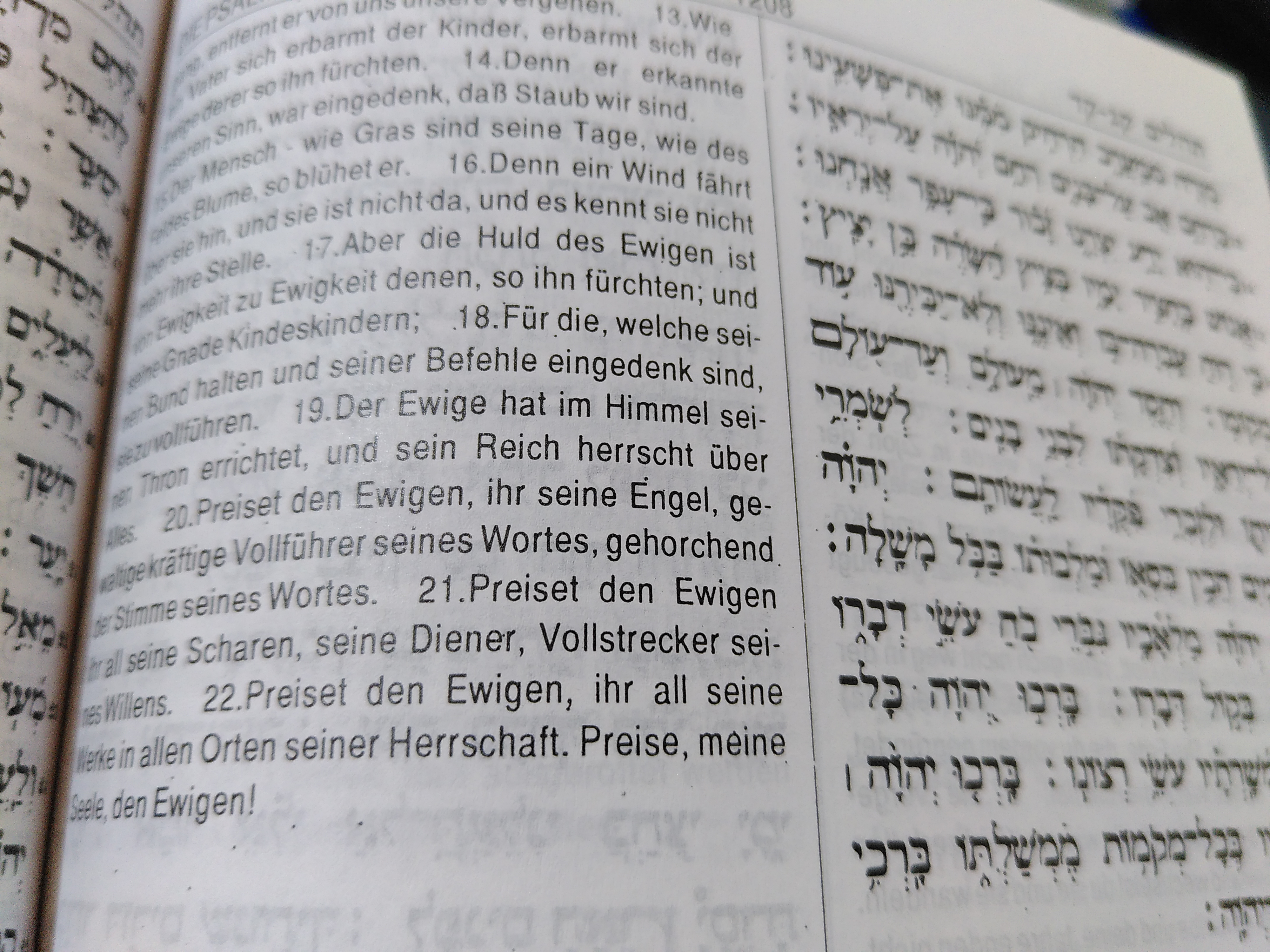 Psalm 103,19