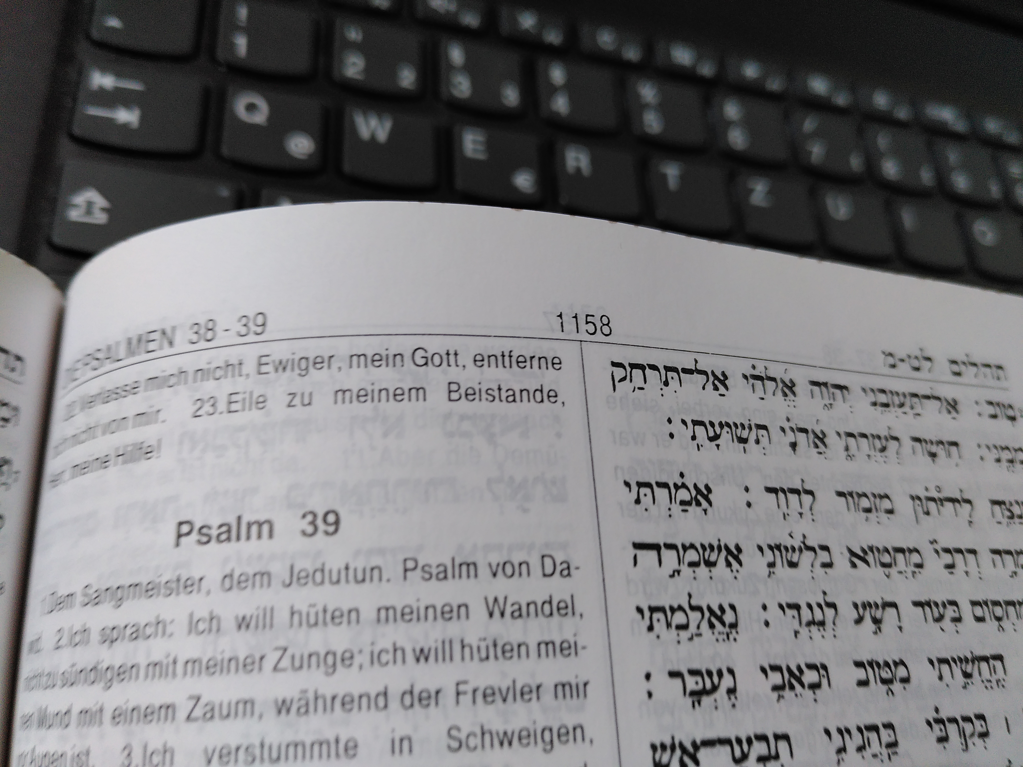 Psalm 38,22