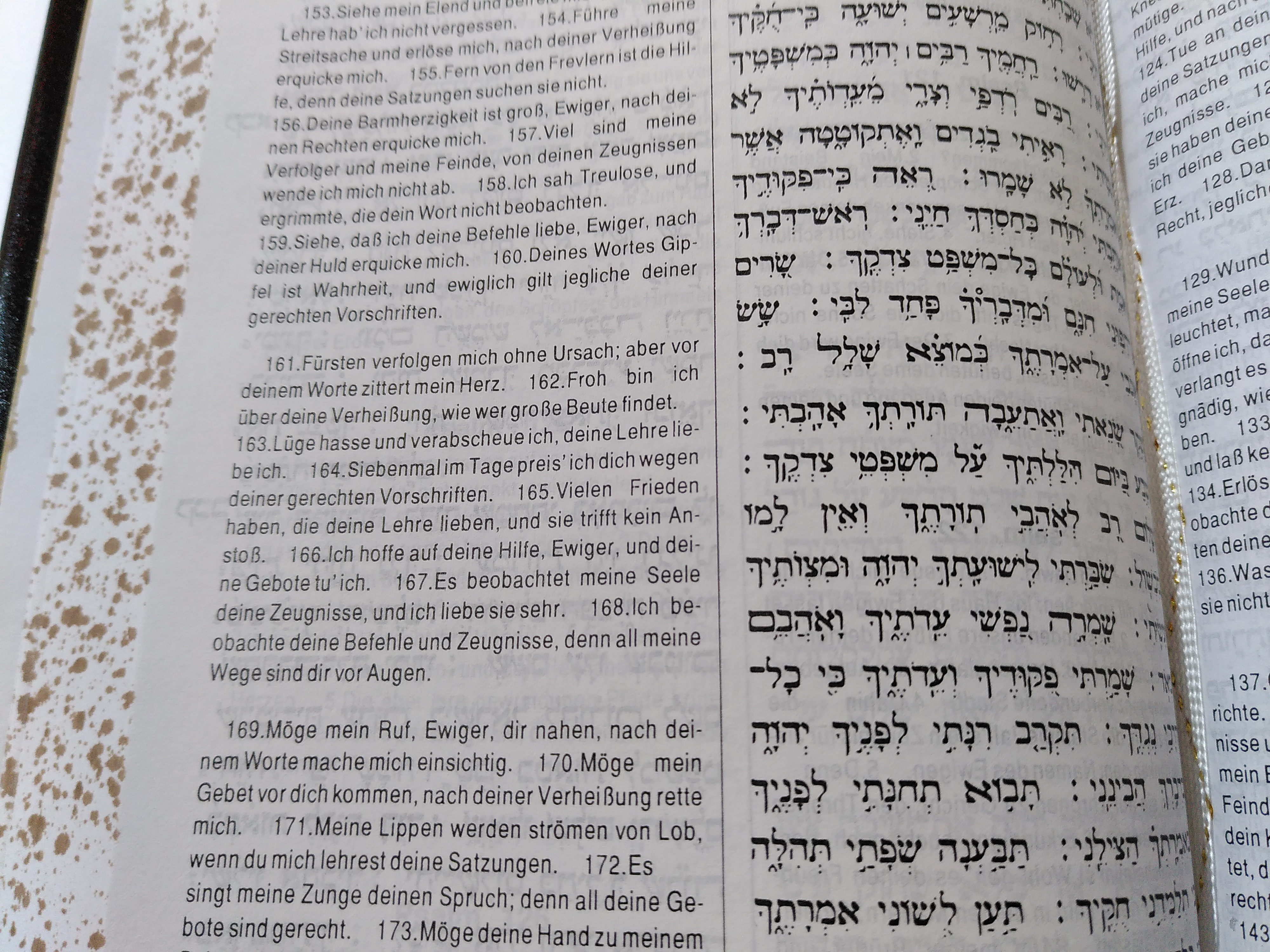 Shin im Psalm119