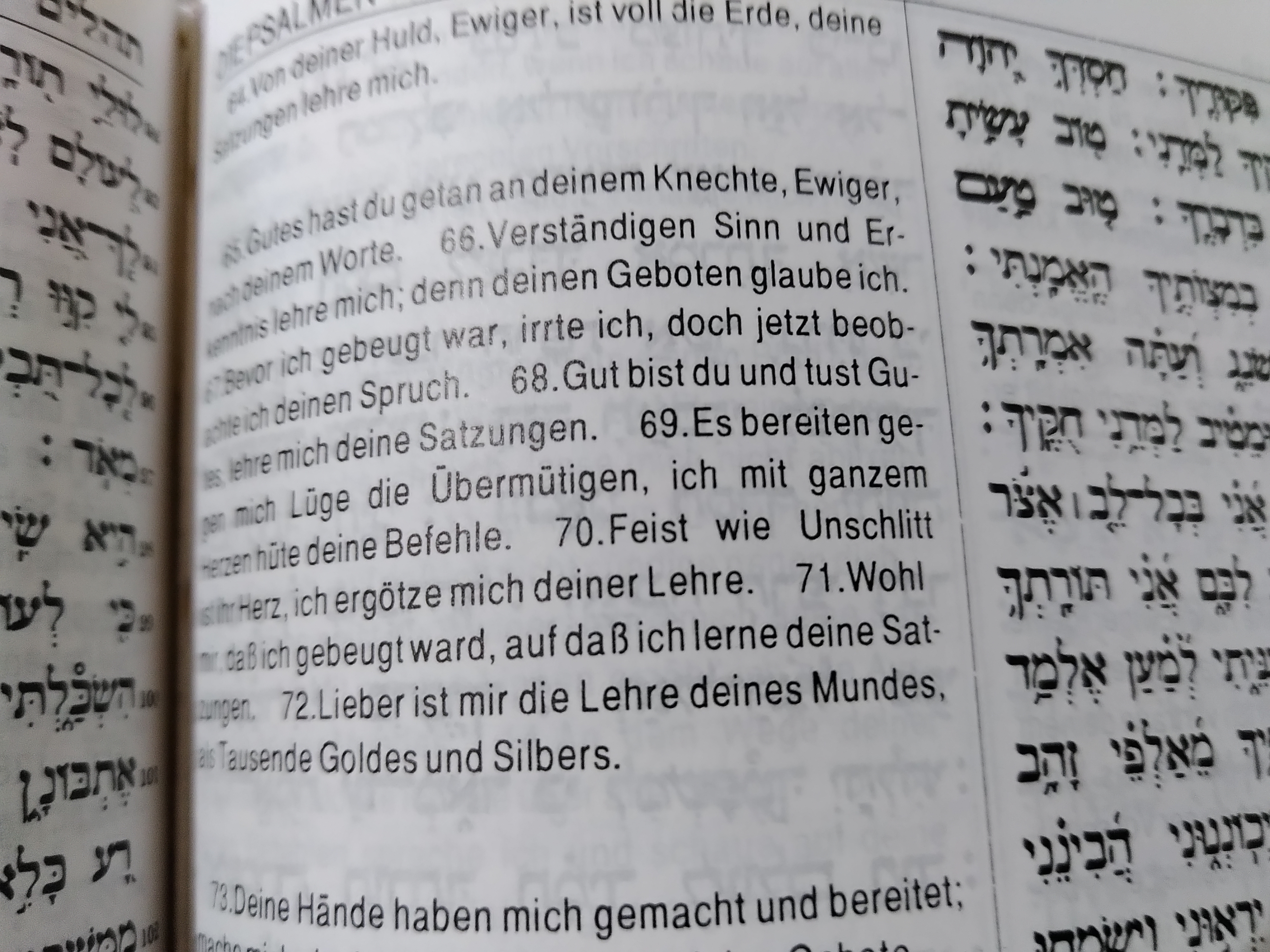 Tet im Psalm 119