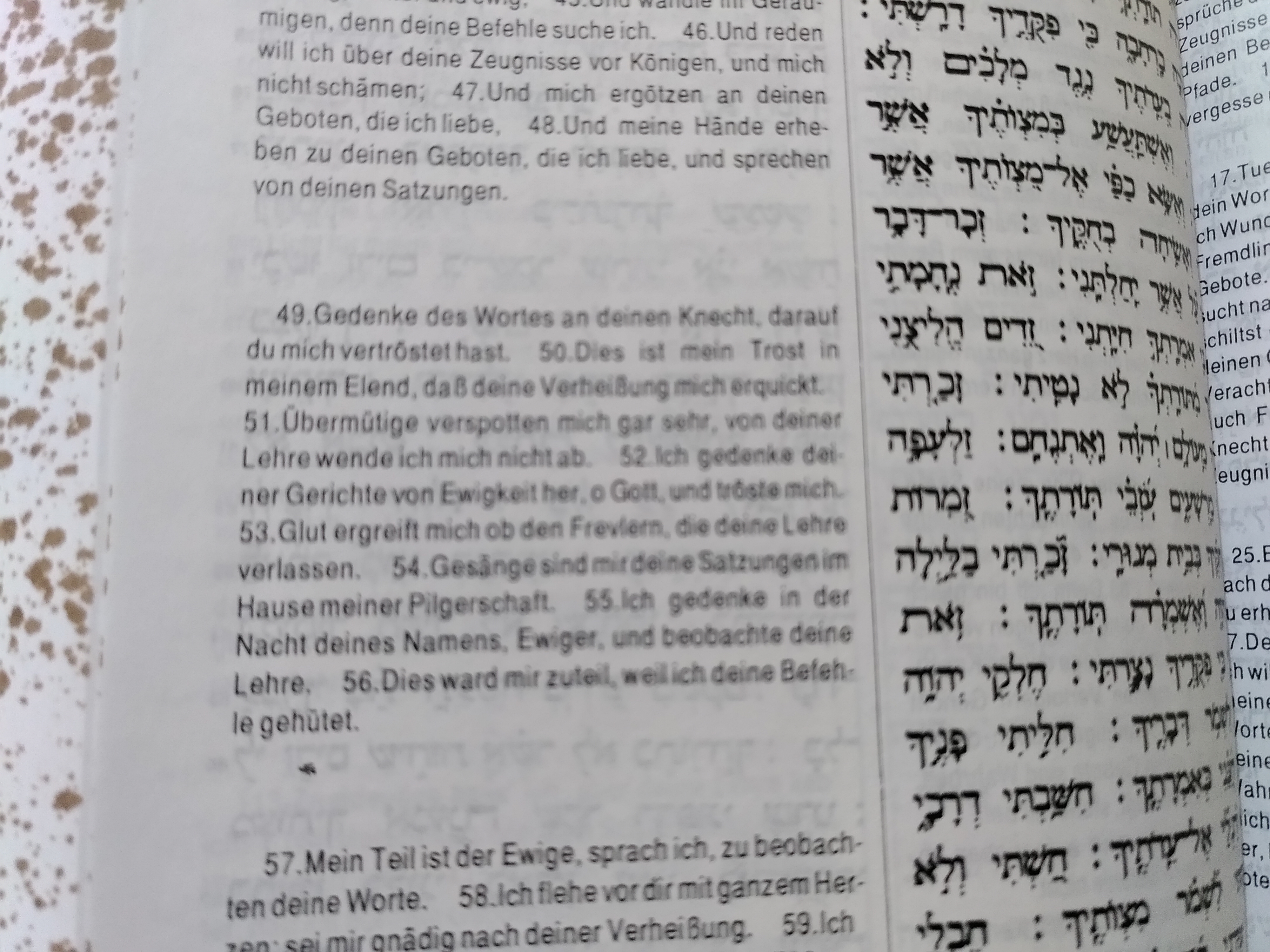 Zayin im Psalm 119